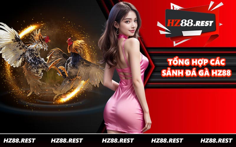 Đá Gà HZ88 Là Gì? Tổng Hợp Các Loại Hình Phổ Biến - vohesa
