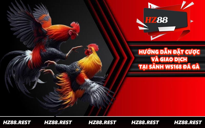 WS168 Đá Gà - Hội Tụ Nhiều Chiến Kê Xịn Xò - vohesa