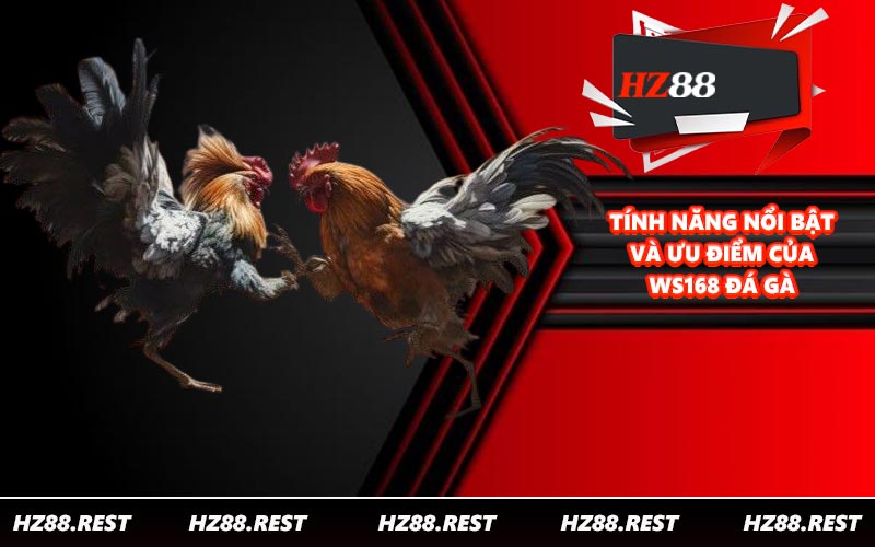 WS168 Đá Gà - Hội Tụ Nhiều Chiến Kê Xịn Xò - vohesa
