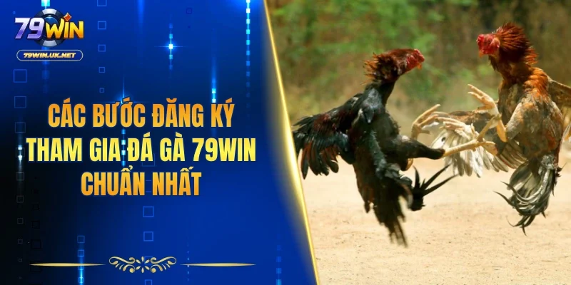 Đá Gà 79WIN – Sân Chơi Chọi Kê Sôi Động Và Kịch Tính - vohesa
