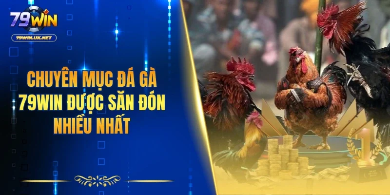 Đá Gà 79WIN – Sân Chơi Chọi Kê Sôi Động Và Kịch Tính - vohesa