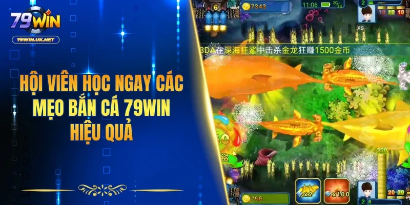 Bắn Cá 79WIN – Trải Nghiệm Săn Thưởng Hấp Dẫn Mỗi Ngày - vohesa