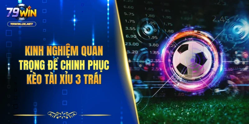 Kèo Tài Xỉu 3 Trái - Chiến Thuật Chơi Từ Chuyên Gia 79WIN - vohesa