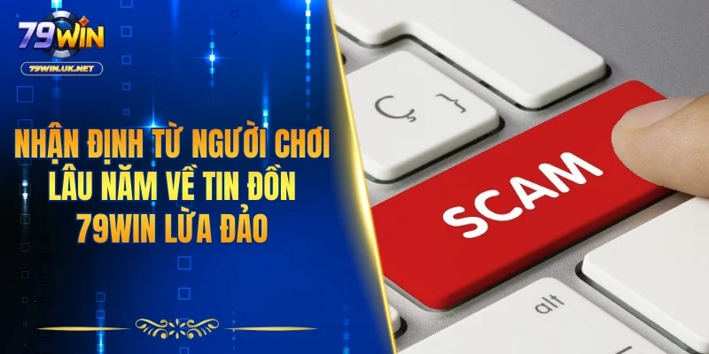 79WIN Lừa Đảo - Sự Thật Phía Sau Những Tin Đồn Thất Thiệt - vohesa