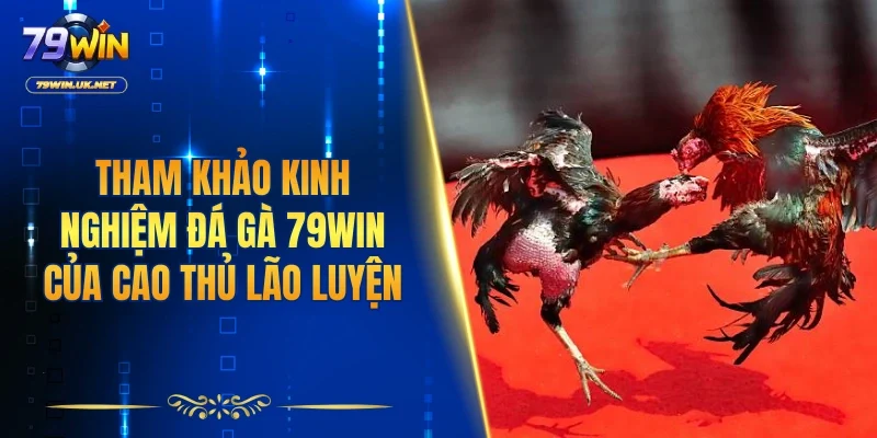 Đá Gà 79WIN – Sân Chơi Chọi Kê Sôi Động Và Kịch Tính - vohesa